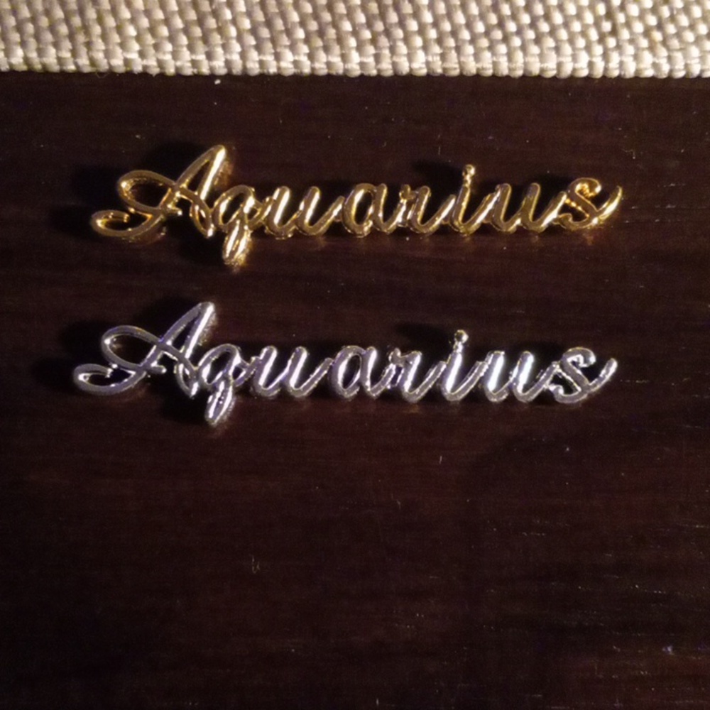 NEW AQUARIUS ZODIAC GOLD & SILVER TONE 3D METAL NAIL CHARMS (2PCS)